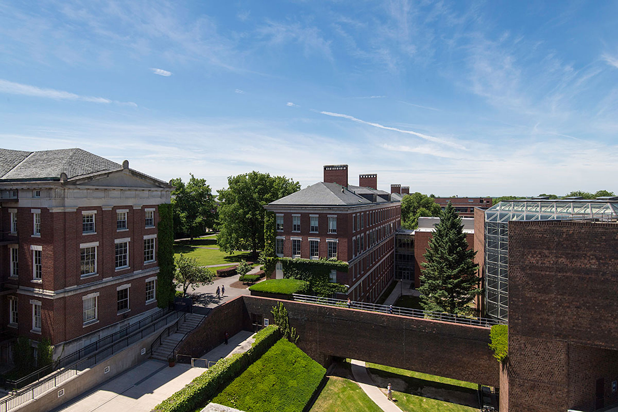 Campus Douglass Roof