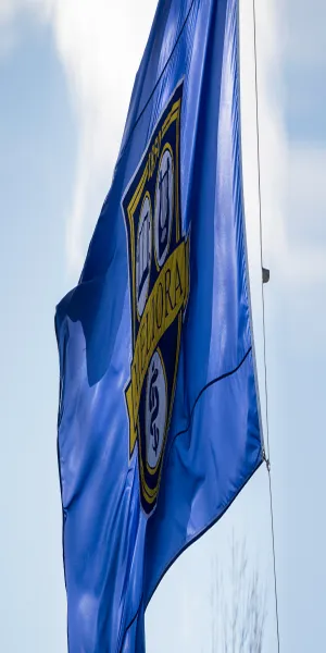 Meliora Flag