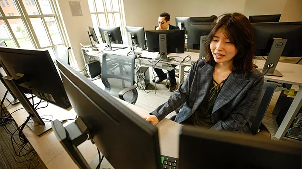 Data skills for career success